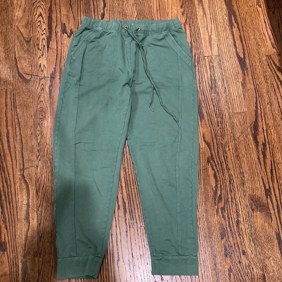 Anthropologie Saturday Sunday Dylan Joggers EUC - Picture 14 of 14